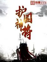 《护国神将》小说封面
