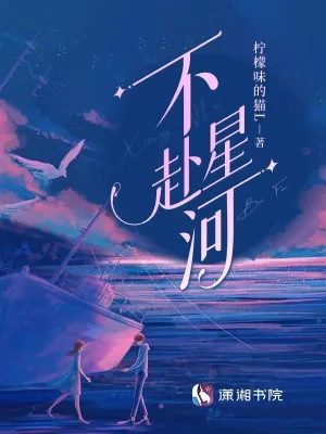 《不赴星河》小说封面