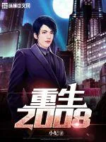 《重生2008》小说封面