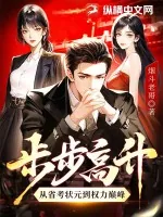《步步高升：从省考状元到权力巅峰》小说封面