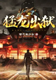 《猛龙出狱》小说封面