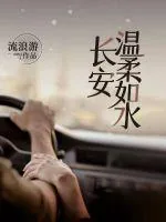 《长安温柔如水》小说封面