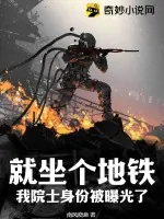 《就坐个地铁，我院士身份被曝光了？》小说封面