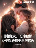 《别跪求，少挽留，苏小姐转投小狼狗枕头》小说封面