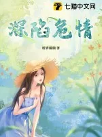 《深陷危情》小说封面