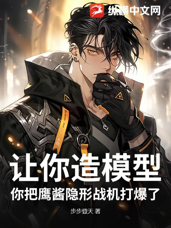《让你造模型，你把鹰酱隐形战机打爆了？》小说封面