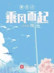 《重生之乘风而起》小说封面