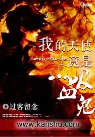 《我的天使竟是吸血鬼》小说封面
