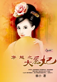 《穿越之大丽妃》小说封面