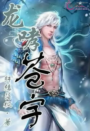 《龙哮苍宇》小说封面