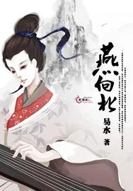 《燕向北》小说封面