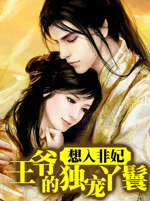 《想入非妃：王爷的独宠丫鬟》小说封面