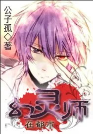 《幻灵师在都市》小说封面
