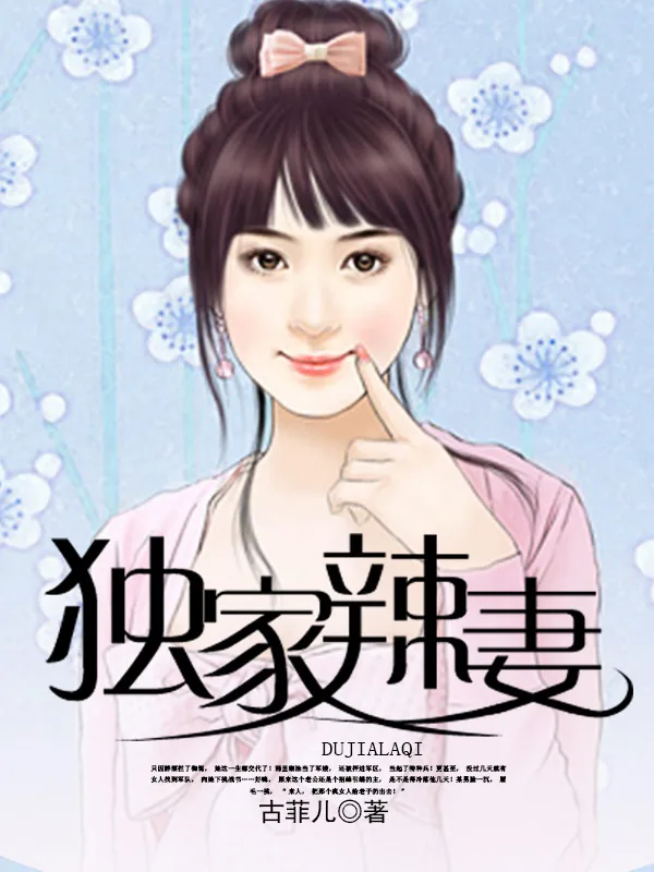 《独家辣妻》小说封面