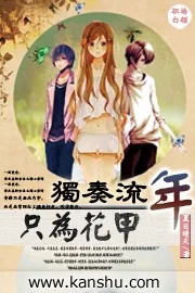 《独奏流年只为花甲》小说封面