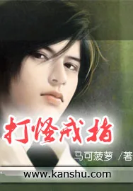 《打怪戒指》小说封面