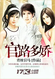 《官路多娇》小说封面