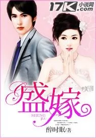 《盛嫁》小说封面