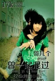 《哥几个曾一起混过》小说封面