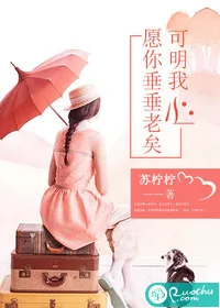 《愿你垂垂老矣，可明我心》小说封面