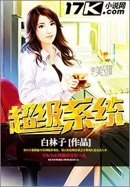 《超级系统》小说封面