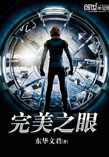 《完美之眼》小说封面