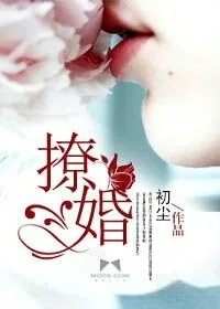 《撩婚》小说封面
