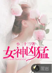 《女神凶猛》小说封面