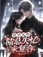《分手五年,陆总失忆求复合》小说封面