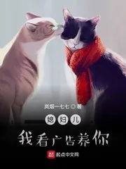 《媳妇儿，我看广告养你》小说封面