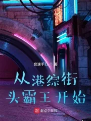《从港综街头霸王开始》小说封面