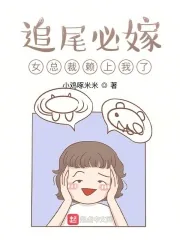 《追尾必嫁，女总裁赖上我了》小说封面