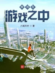 《我活在游戏之中》小说封面