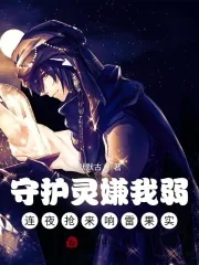 《守护灵嫌我弱，连夜抢来响雷果实》小说封面