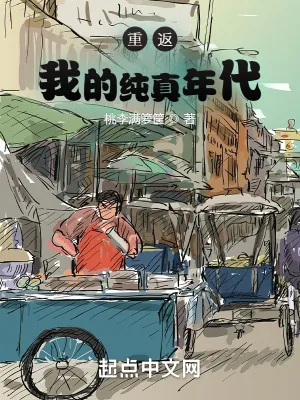 《重返我的纯真年代》小说封面