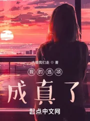 《我的选项成真了！》小说封面