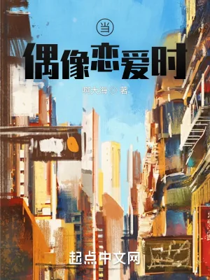 《当偶像恋爱时》小说封面