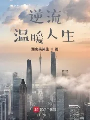 《逆流温暖人生》小说封面