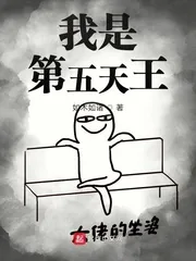 《我是第五天王》小说封面