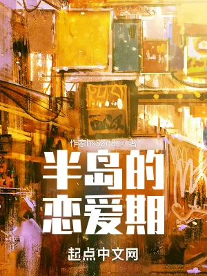 《半岛的恋爱期》小说封面