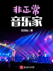 《非正常音乐家》小说封面