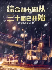 《综合都市剧从三十而已开始》小说封面