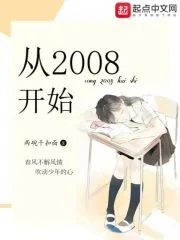 《从2008开始》小说封面