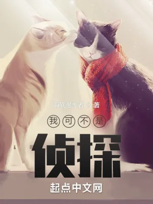 《我可不是侦探》小说封面