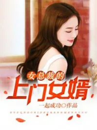 《王婿》小说封面