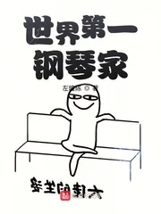 《世界第一钢琴家》小说封面