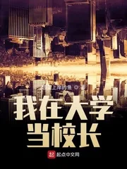 《我在大学当校长》小说封面