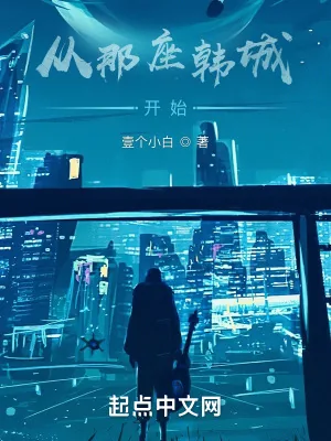 《从那座韩城开始》小说封面