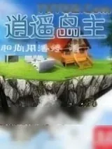 《逍遥岛主》小说封面