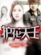 《护花天王》小说封面